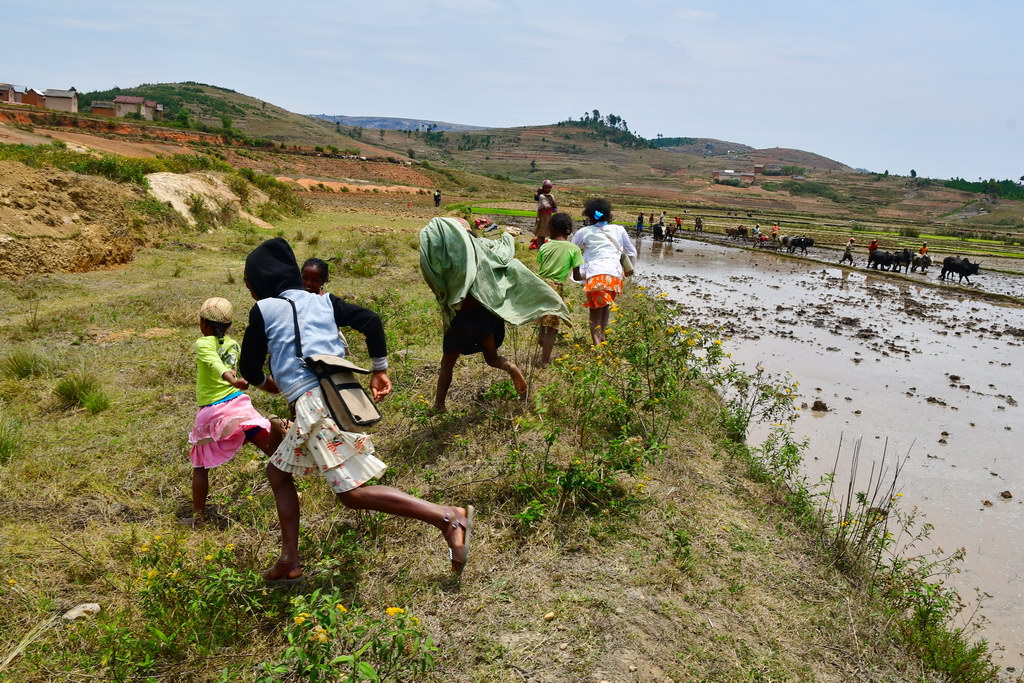 Ambositra Region